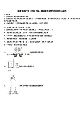 福建省厦门双十中学2024届毕业升学考试模拟卷化学卷含解析.doc