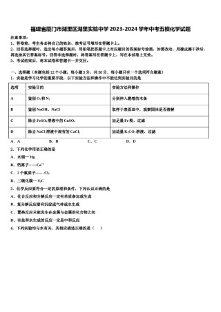 福建省厦门市湖里区湖里实验中学2023-2024学年中考五模化学试题含解析.doc