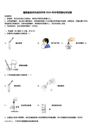 福建省泉州市成功中学2024年中考四模化学试题含解析.doc