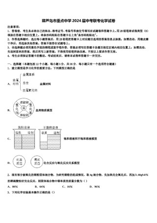 葫芦岛市重点中学2024届中考联考化学试卷含解析.doc