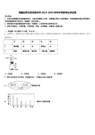 西藏拉萨北京实验中学2023-2024学年中考联考化学试卷含解析.doc