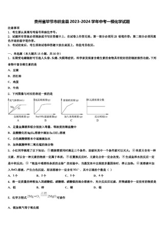 贵州省毕节市织金县2023-2024学年中考一模化学试题含解析.doc