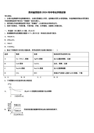 贵州省贵阳市2024年中考化学模试卷含解析.doc