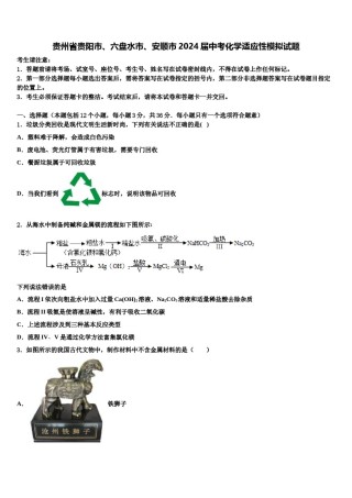 贵州省贵阳市、六盘水市、安顺市2024届中考化学适应性模拟试题含解析.doc