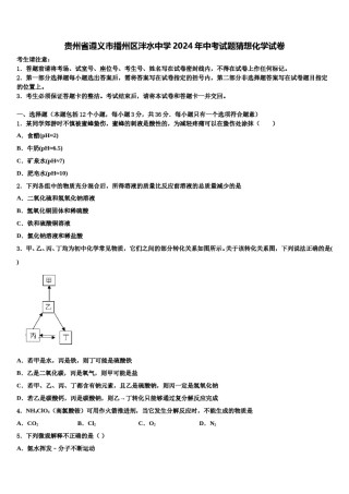 贵州省遵义市播州区泮水中学2024年中考试题猜想化学试卷含解析.doc