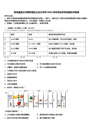 贵州省遵义市桐梓县私立达兴中学2024年中考化学考试模拟冲刺卷含解析.doc