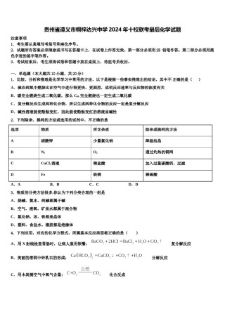 贵州省遵义市桐梓达兴中学2024年十校联考最后化学试题含解析.doc