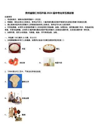 贵州省铜仁市石阡县2024届中考化学五模试卷含解析.doc