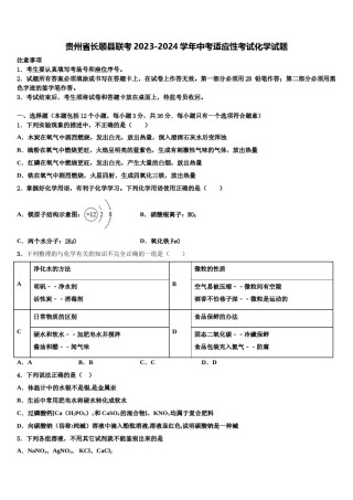 贵州省长顺县联考2023-2024学年中考适应性考试化学试题含解析.doc
