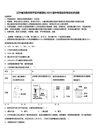 辽宁省沈阳市和平区外国语校2024届中考适应性考试化学试题含解析.doc