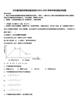辽宁省沈阳市实验北重点名校2023-2024学年中考五模化学试题含解析.doc