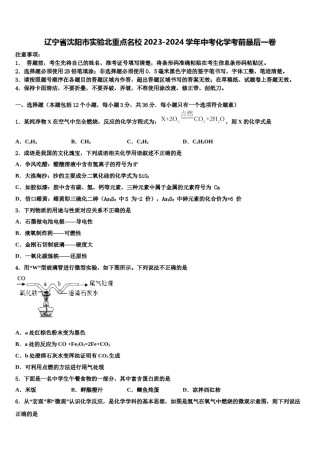 辽宁省沈阳市实验北重点名校2023-2024学年中考化学考前最后一卷含解析.doc