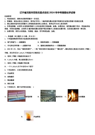 辽宁省沈阳市实验北重点名校2024年中考猜题化学试卷含解析.doc