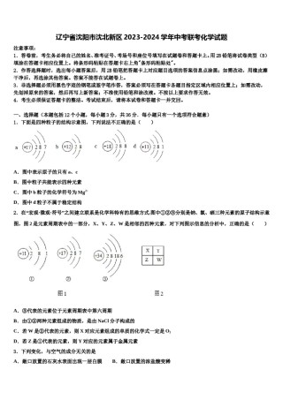 辽宁省沈阳市沈北新区2023-2024学年中考联考化学试题含解析.doc