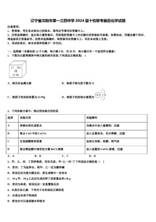 辽宁省沈阳市第一三四中学2024届十校联考最后化学试题含解析.doc