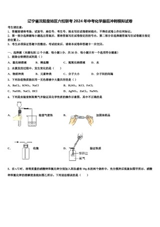 辽宁省沈阳皇姑区六校联考2024年中考化学最后冲刺模拟试卷含解析.doc
