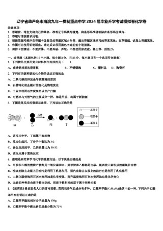 辽宁省葫芦岛市海滨九年一贯制重点中学2024届毕业升学考试模拟卷化学卷含解析.doc