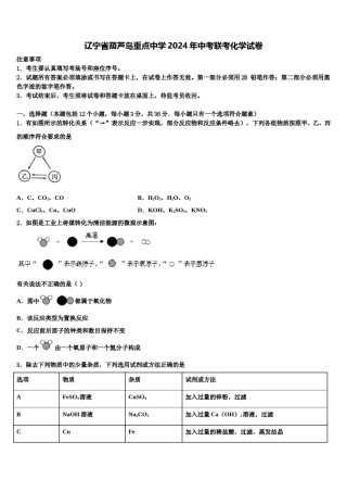 辽宁省葫芦岛重点中学2024年中考联考化学试卷含解析.doc