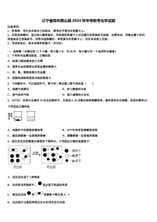 辽宁省锦州黑山县2024年中考联考化学试题含解析.doc