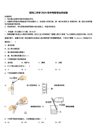 郑州二中学2024年中考联考化学试卷含解析.doc