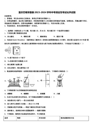 重庆巴蜀常春藤2023-2024学年中考适应性考试化学试题含解析.doc