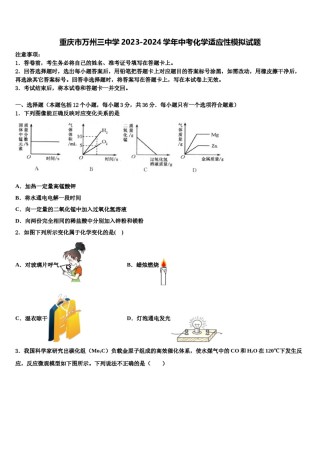 重庆市万州三中学2023-2024学年中考化学适应性模拟试题含解析.doc