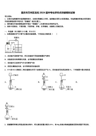 重庆市万州区名校2024届中考化学对点突破模拟试卷含解析.doc