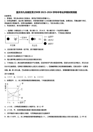 重庆市九龙坡区育才中学2023-2024学年中考化学模拟预测题含解析.doc