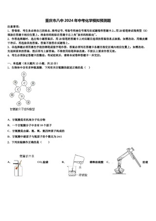 重庆市八中2024年中考化学模拟预测题含解析.doc