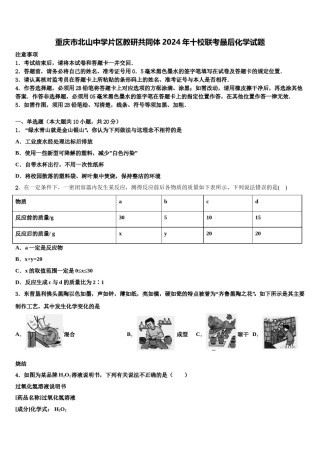 重庆市北山中学片区教研共同体2024年十校联考最后化学试题含解析.doc
