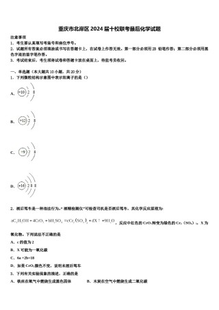 重庆市北岸区2024届十校联考最后化学试题含解析.doc