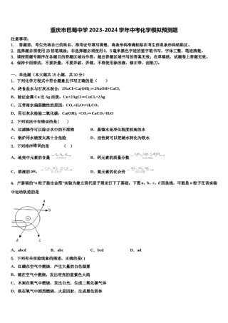 重庆市巴蜀中学2023-2024学年中考化学模拟预测题含解析.doc