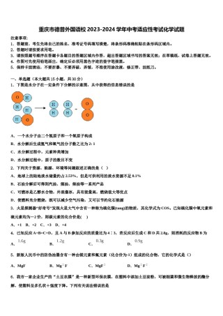 重庆市德普外国语校2023-2024学年中考适应性考试化学试题含解析.doc