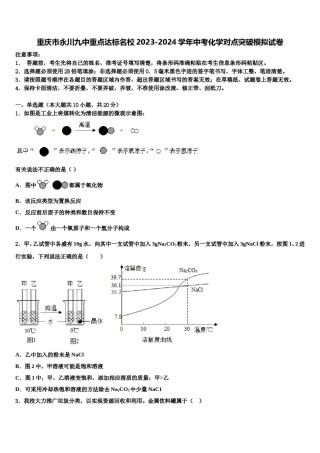 重庆市永川九中重点达标名校2023-2024学年中考化学对点突破模拟试卷含解析.doc