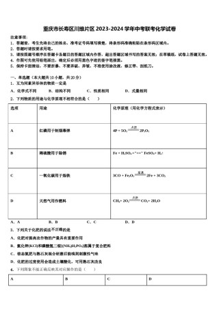重庆市长寿区川维片区2023-2024学年中考联考化学试卷含解析.doc