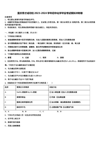 重庆育才成功校2023-2024学年初中化学毕业考试模拟冲刺卷含解析.doc