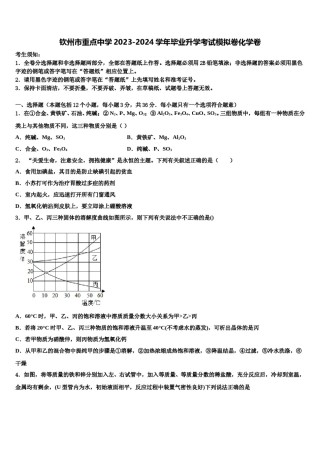 钦州市重点中学2023-2024学年毕业升学考试模拟卷化学卷含解析.doc