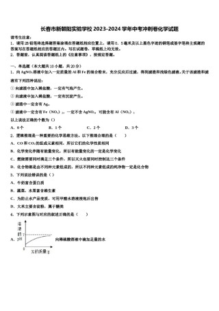 长春市新朝阳实验学校2023-2024学年中考冲刺卷化学试题含解析.doc