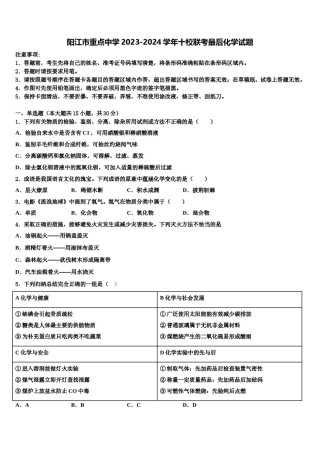 阳江市重点中学2023-2024学年十校联考最后化学试题含解析.doc