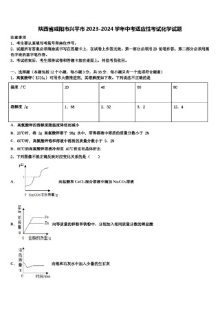 陕西省咸阳市兴平市2023-2024学年中考适应性考试化学试题含解析.doc