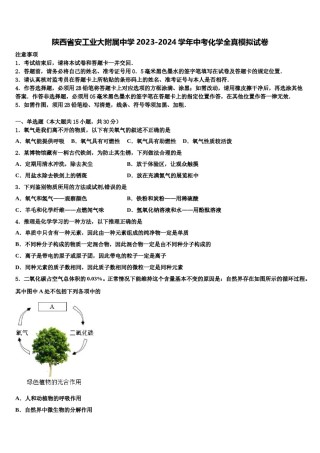 陕西省安工业大附属中学2023-2024学年中考化学全真模拟试卷含解析.doc