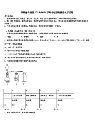 陕西省山阳县2023-2024学年十校联考最后化学试题含解析.doc