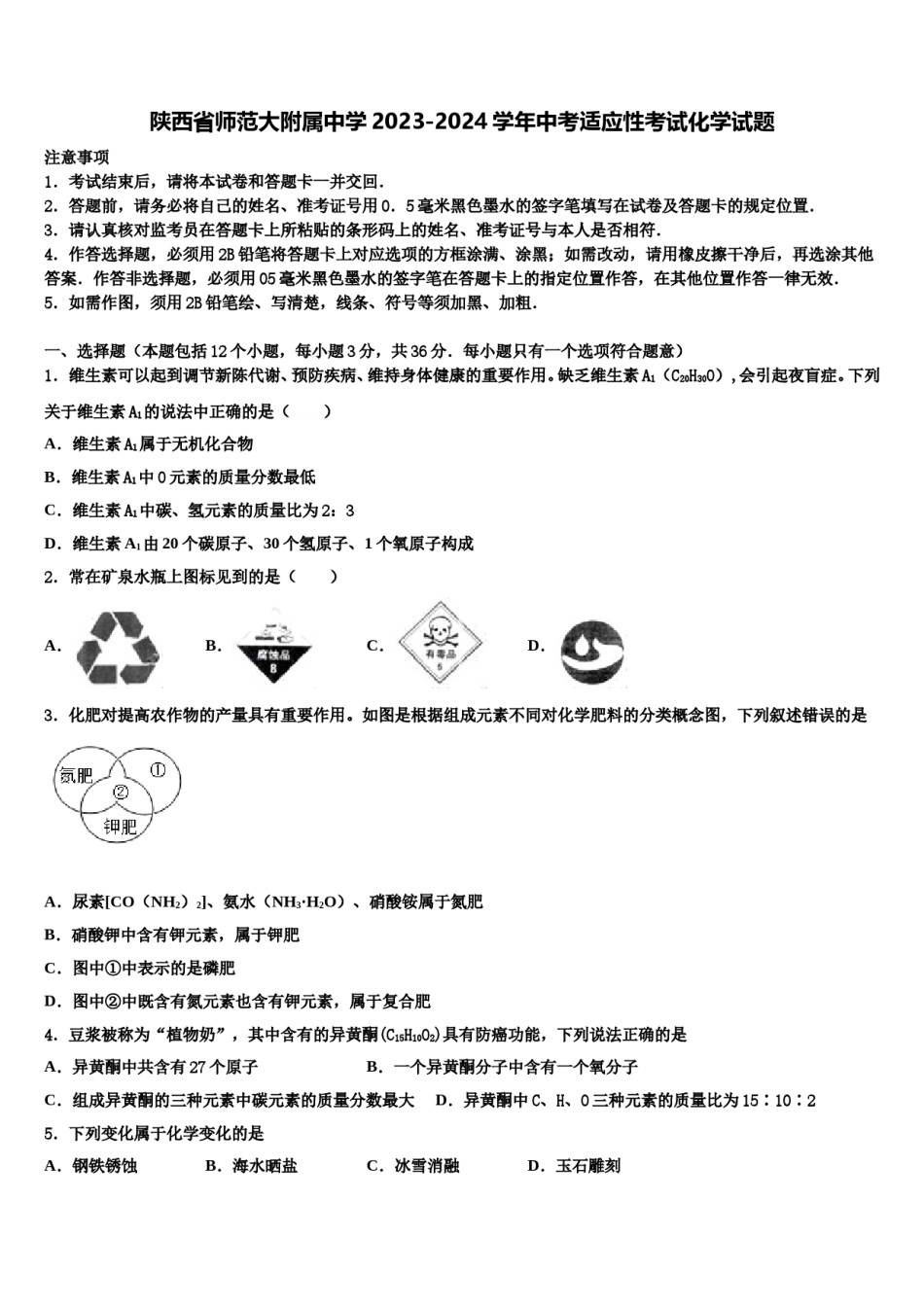 陕西省师范大附属中学2023-2024学年中考适应性考试化学试题含解析.doc_第1页