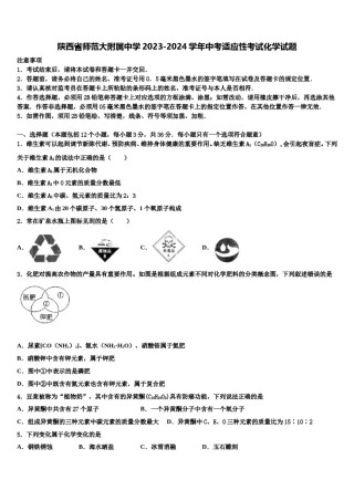 陕西省师范大附属中学2023-2024学年中考适应性考试化学试题含解析.doc