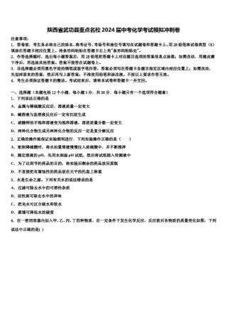 陕西省武功县重点名校2024届中考化学考试模拟冲刺卷含解析.doc