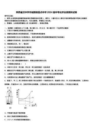 陕西省汉中学市城固县重点中学2024届中考化学全真模拟试卷含解析.doc