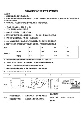 陕西省渭南市2024年中考化学猜题卷含解析.doc