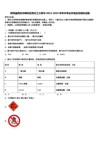 陕西省西安市碑林区西北工大附中2023-2024学年中考化学适应性模拟试题含解析.doc