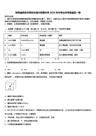 陕西省西安市西安交通大附属中学2024年中考化学考前最后一卷含解析.doc