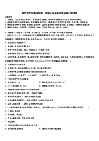 陕西省西安市远东第一中学2024年中考化学五模试卷含解析.doc